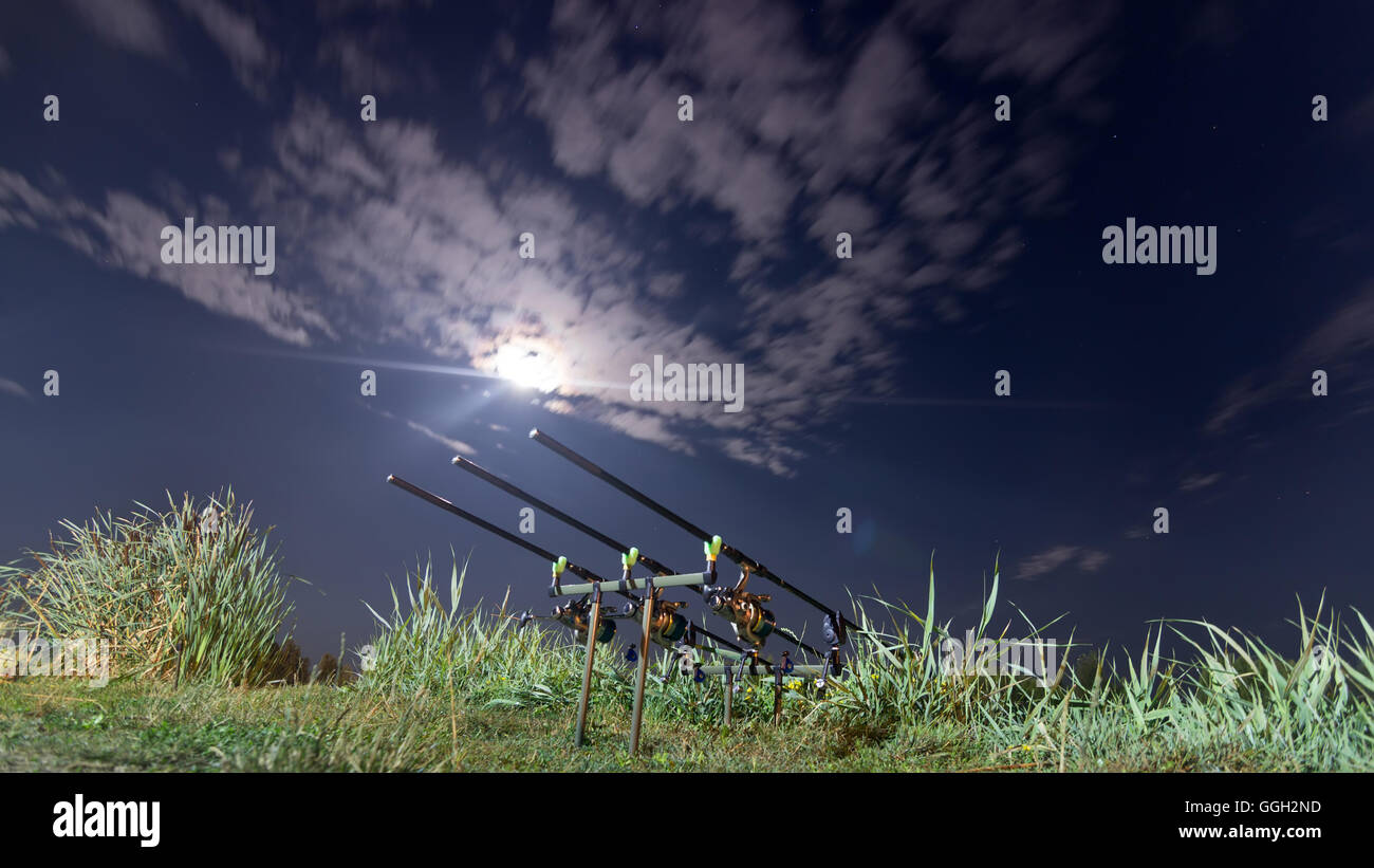 Carp spinning reel angling rods on pod standing. Night Fishing, Carp Rods,  Cloudscape Full moon over lake Stock Photo - Alamy