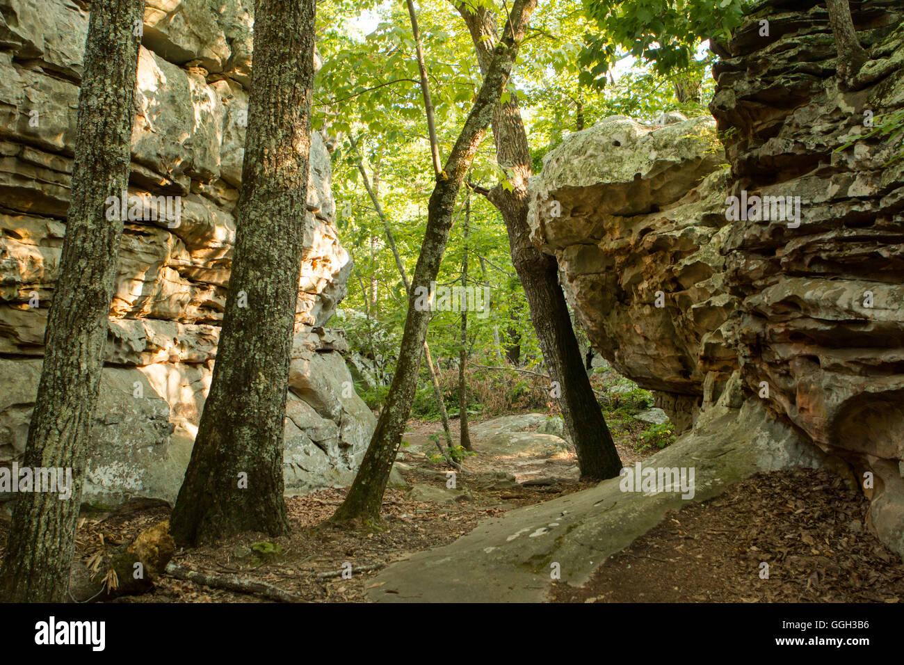 Rock Town in Crockford Pigeon Mountain WMA in Georgia Stock Photo