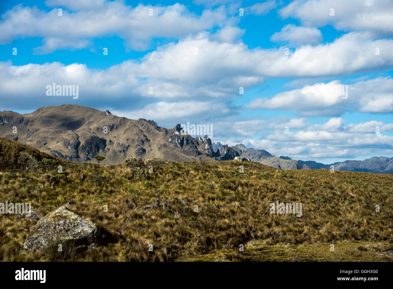Cajas National Park, Andean Highlands, Ecuador Stock Photo Alamy