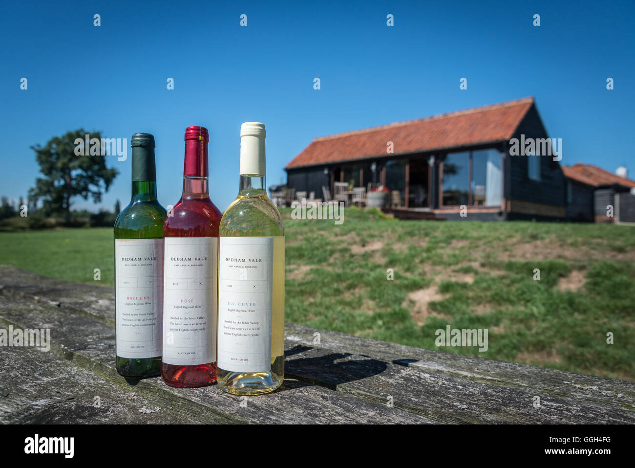 Carter's Farm Vineyard – now known as Dedham Vale vineyard Stock Photo