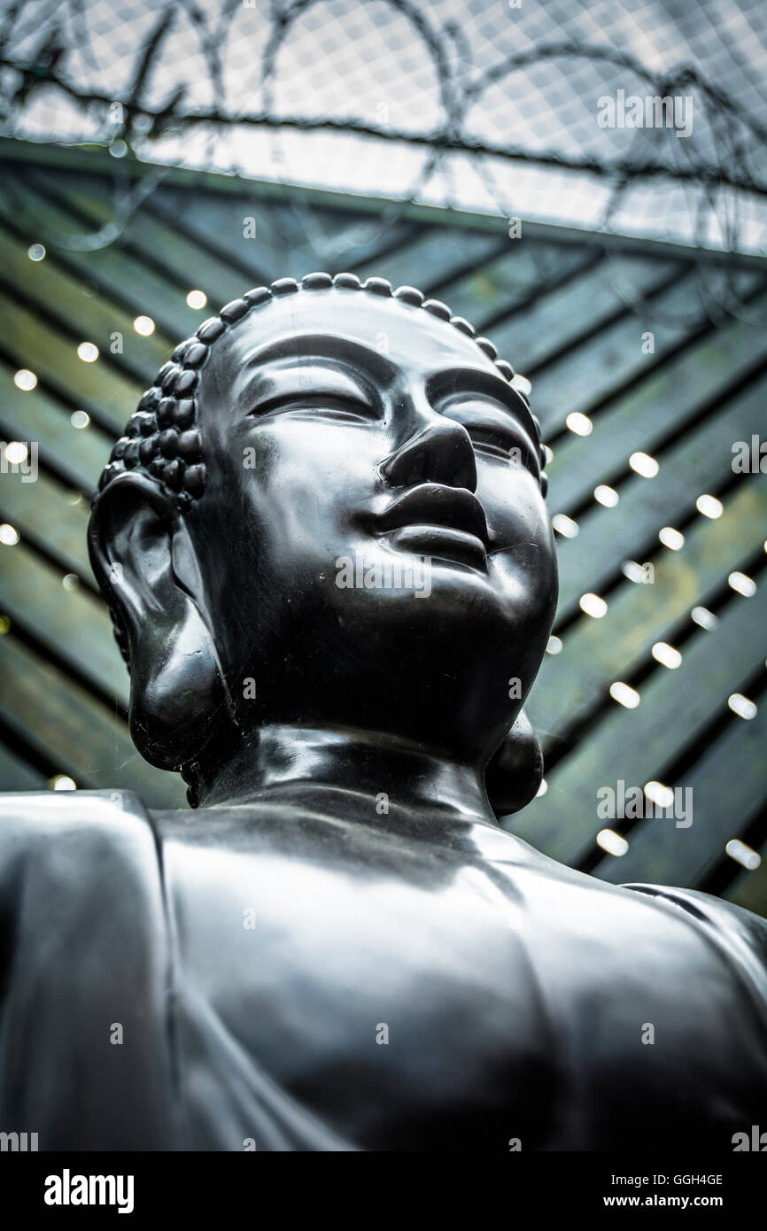 The serene face of a Buddha statue set against a backdrop of barbed wire Stock Photo