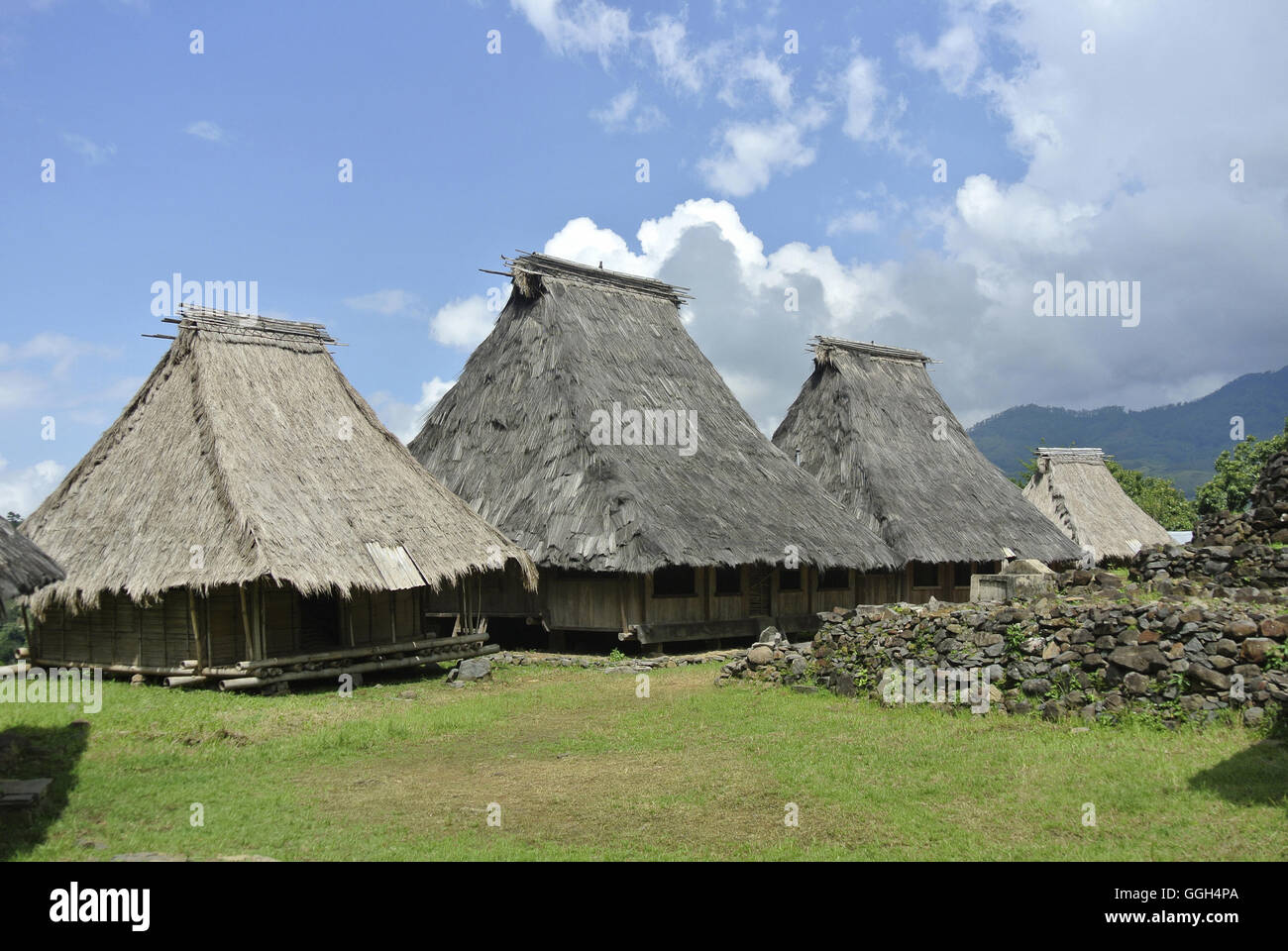 Traditional village , Indonesia. The village location is near Moni. The ...