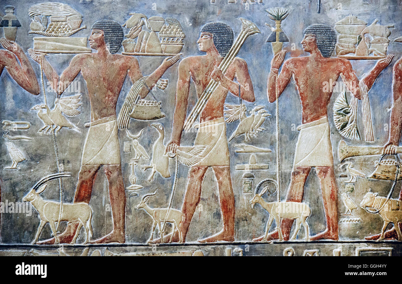 Egypt, Saqqara, Reliefs From The Tomb Of Ptahhotep: Offerers Stock ...