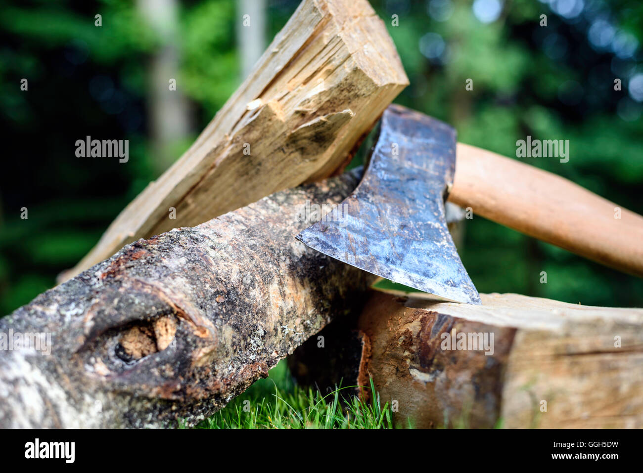 Old rusty axe and firewood logs on the grass Stock Photo