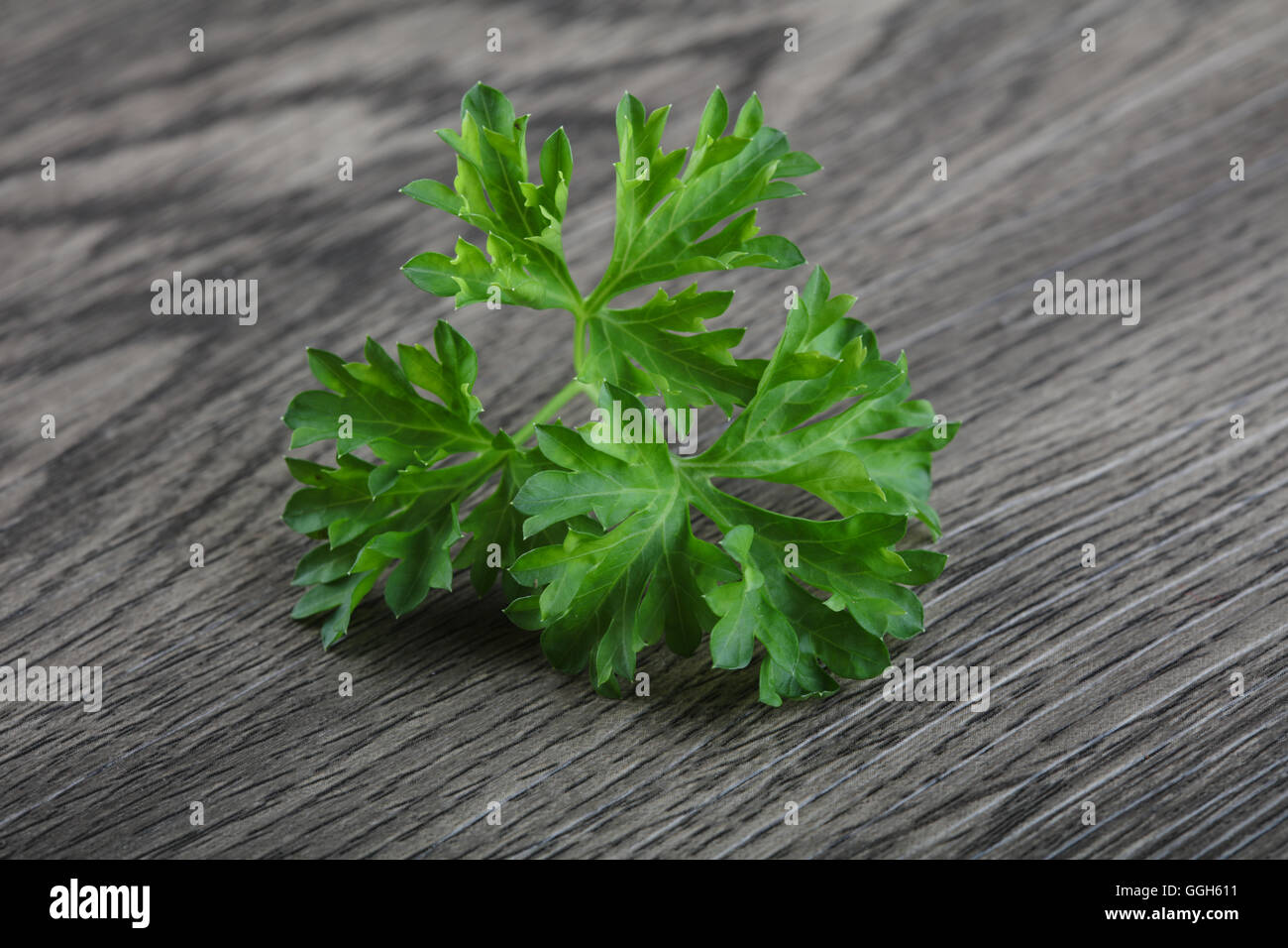 Fresh ripe green parsley leaves on wood background Stock Photo - Alamy