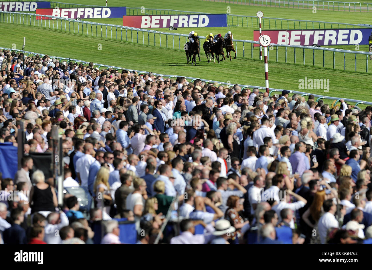 The runners in the Betfred Mobile Handicap Stakes race down the straight during Betfred Rose Of Lancaster Stakes Ladies Day at Haydock Park Racecourse. Stock Photo