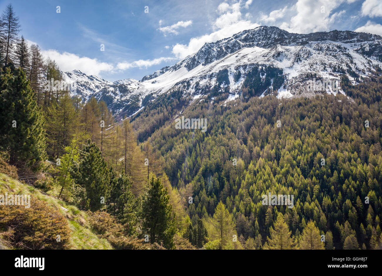 geography / travel, Italy, South Tyrol, Knuttental in the spring, Rein in Taufers, Tauferer Ahrntal (Ahrn Valley) , Additional-Rights-Clearance-Info-Not-Available Stock Photo