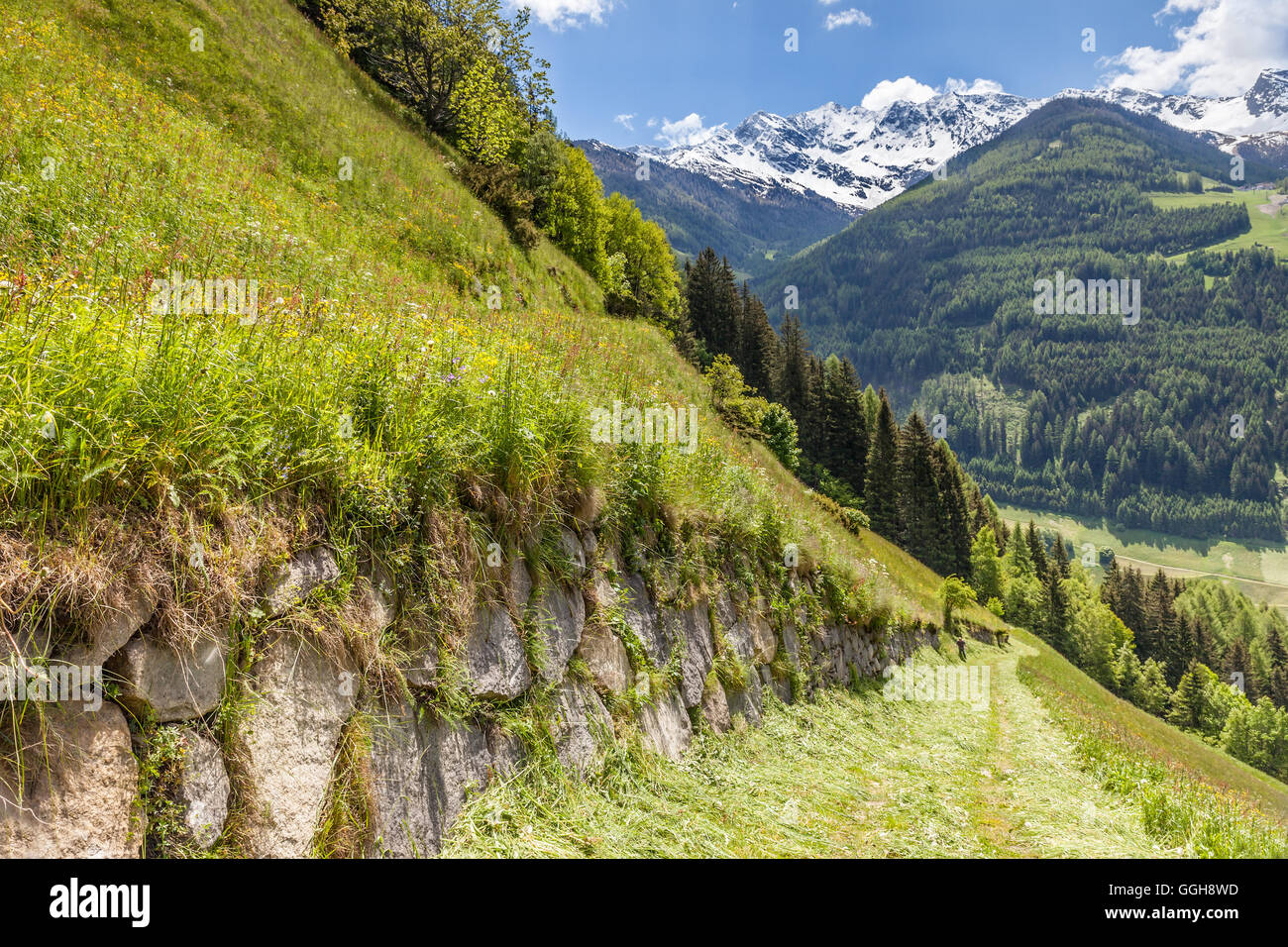 geography / travel, Italy, South Tyrol, Ahrntal sunny way near St. Jacob, Ahrntal (Ahrn Valley), Additional-Rights-Clearance-Info-Not-Available Stock Photo