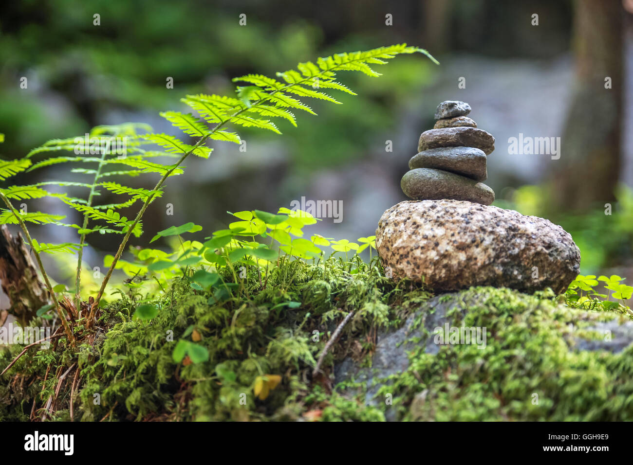 geography / travel, Italy, South Tyrol, cairn in the forest near the Rhine Falls in the Reintal, Additional-Rights-Clearance-Info-Not-Available Stock Photo
