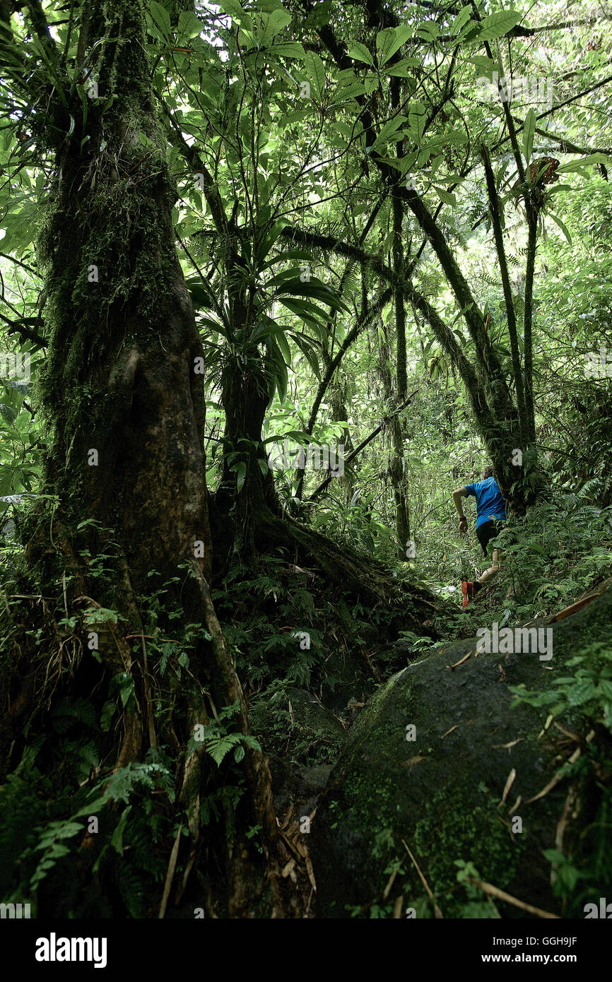 Young man running through a jungle hi-res stock photography and images -  Alamy