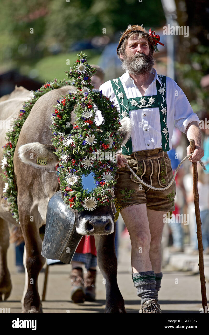 Man wearing traditional clothes with a decorated cattle, Viehscheid
