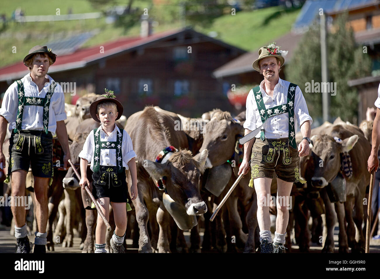 Traditional Viehscheid, Allgau, Bavaria, Germany Stock Photo Alamy