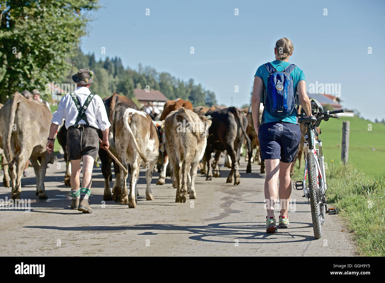 Traditional Viehscheid, Allgau, Bavaria, Germany Stock Photo Alamy