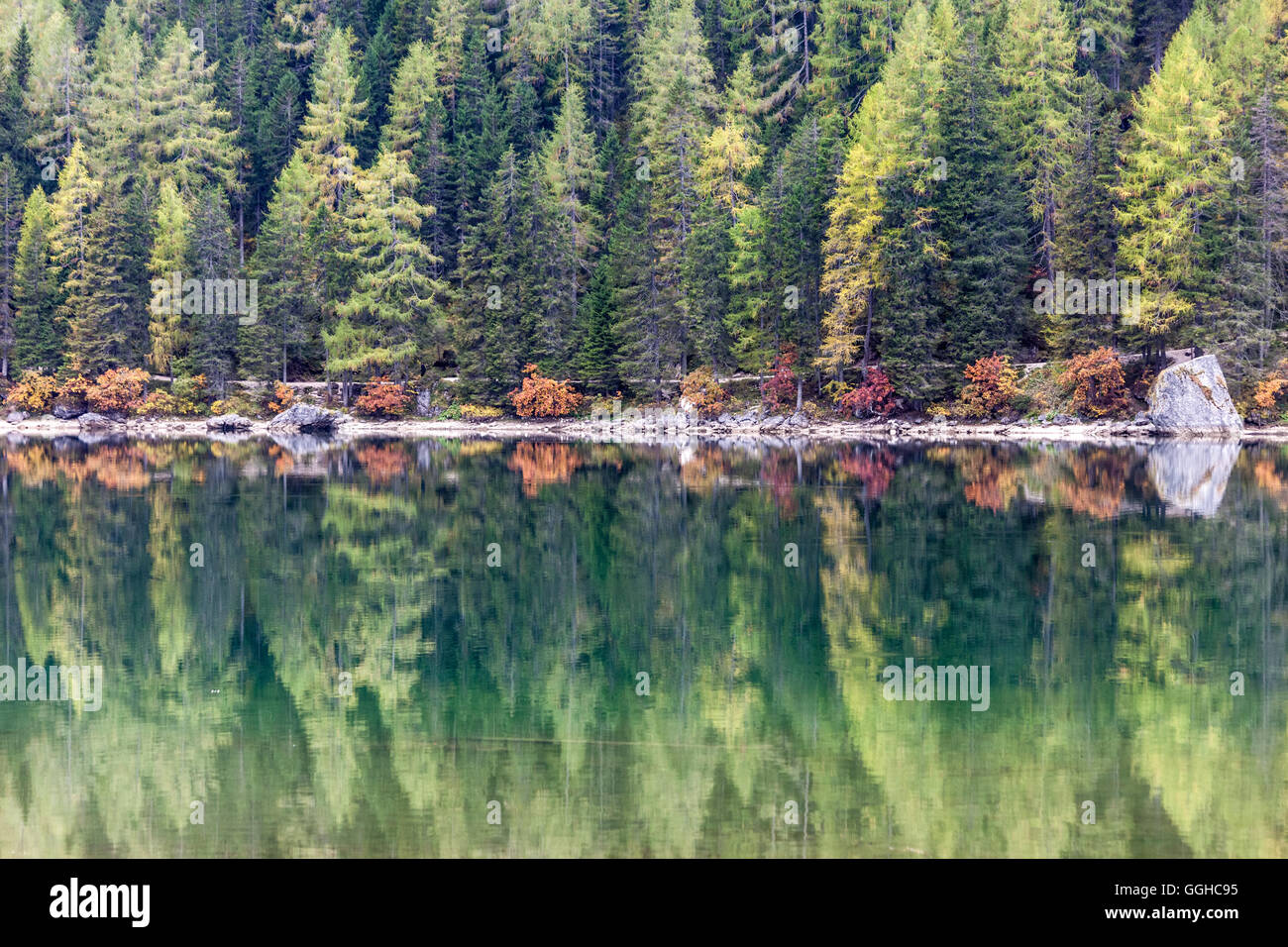 geography / travel, Italy, South Tyrol, silent water and reflection on the Pragser Wildsee (Lake Wild) , Additional-Rights-Clearance-Info-Not-Available Stock Photo