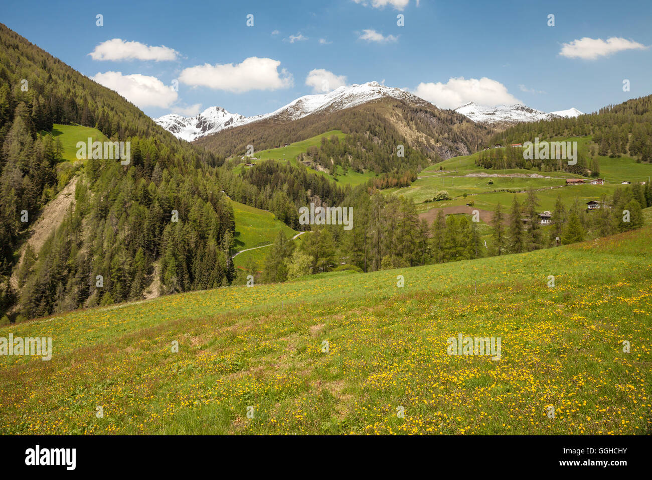 geography / travel, Italy, South Tyrol, flower meadow in the Muehlwald valley, Tauferer Ahrntal (Ahrn Valley) , Additional-Rights-Clearance-Info-Not-Available Stock Photo