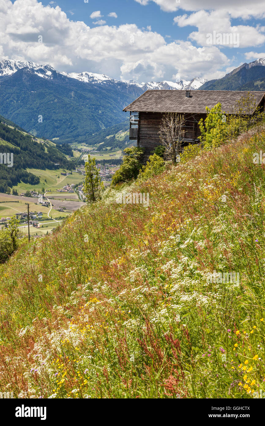 geography / travel, Italy, South Tyrol, mountain farm in the Ahrntal (Ahrn Valley) near St. Jacob, Ahrntal (Ahrn Valley), , Additional-Rights-Clearance-Info-Not-Available Stock Photo
