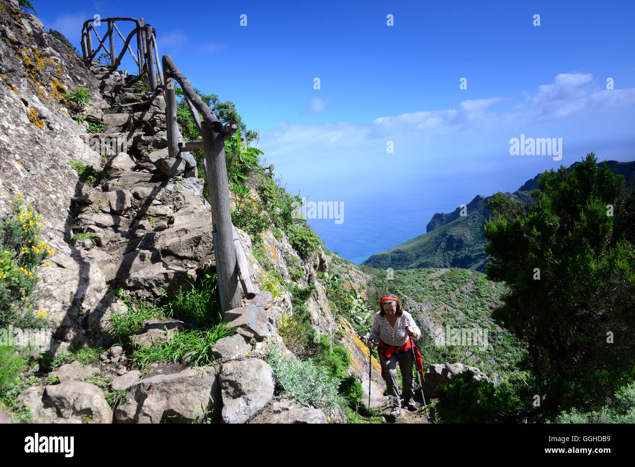 Woman hiking uphill, Macizo de Anaga mountain range, Chamorga, Tenerife, Canary Islands, Spain Stock Photo