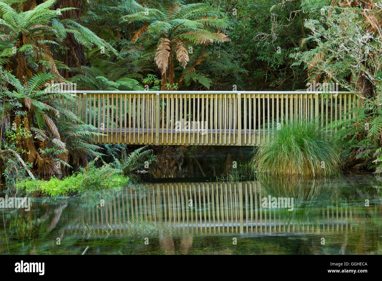Hamurana Springs, Rotorua, Bay of Plenty, North Island, New Zealand Stock Photo