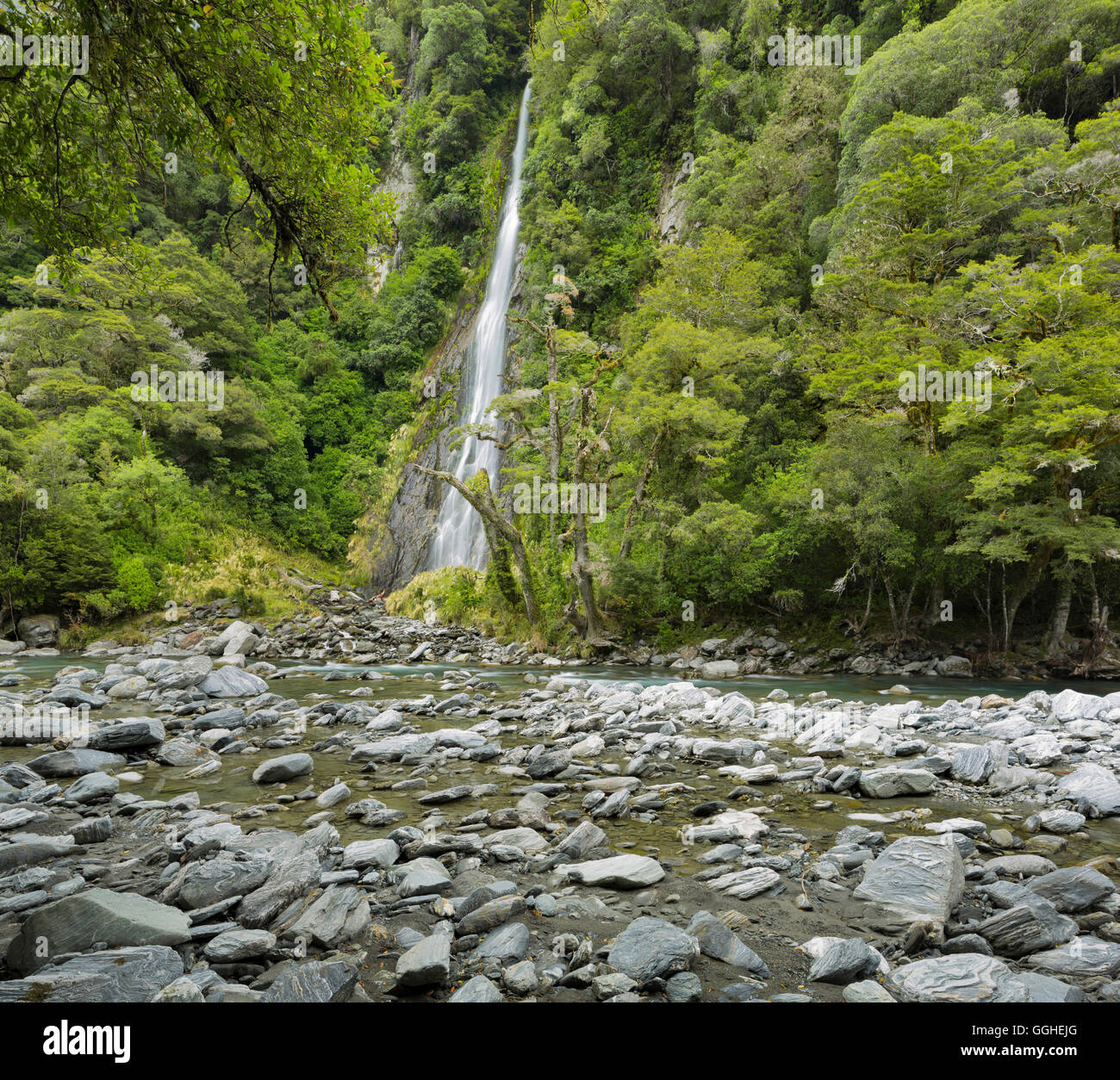 Thunder Creek Falls, Mount Aspiring National park, Hasst Pass, West Coast, South Island, New Zealand Stock Photo