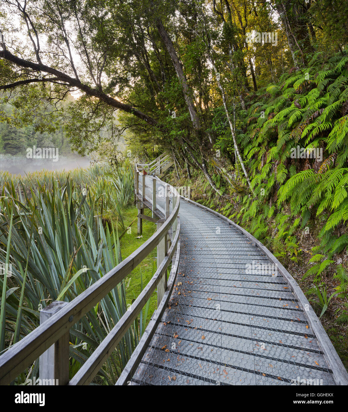 Wooden platform at Lake Matheson, West Coast, South Island, New Zealand Stock Photo
