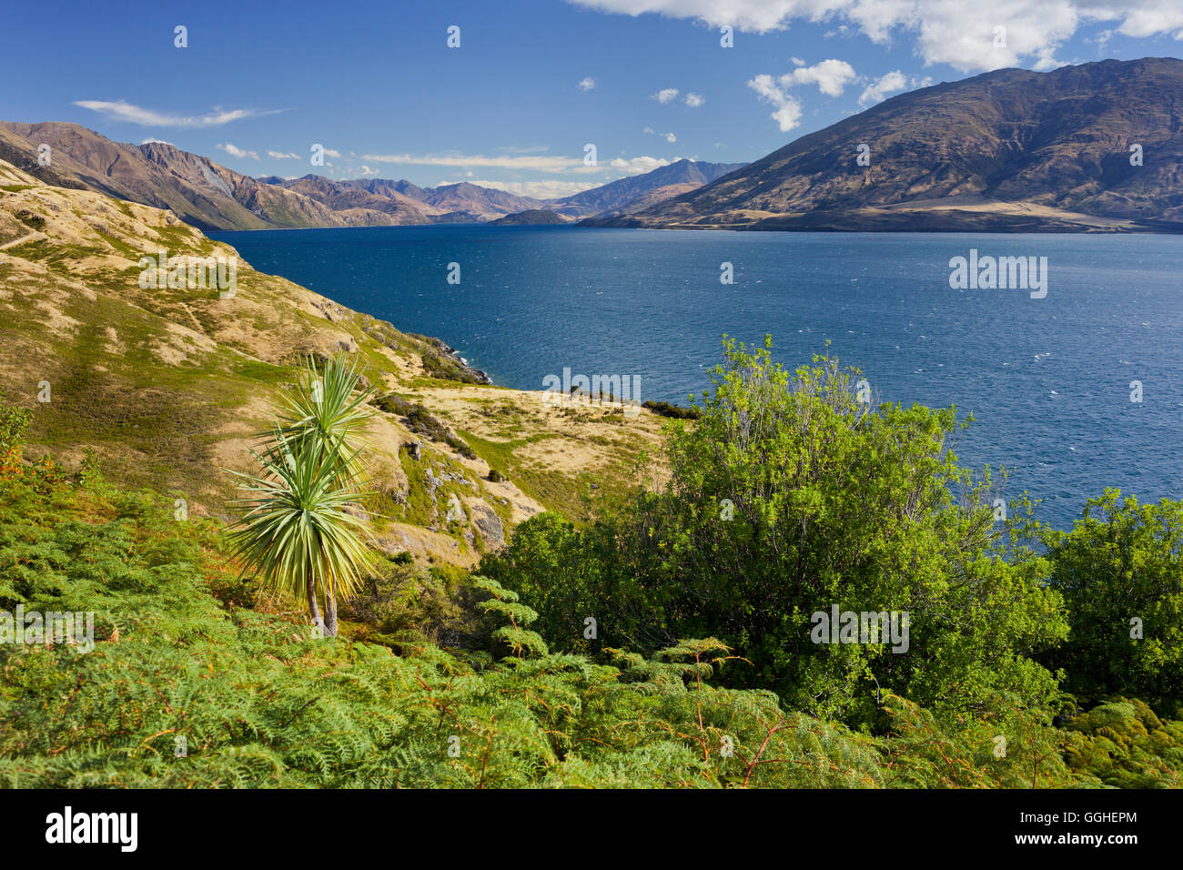 Lake Wanaka, Otago, South Island, New Zealand Stock Photo