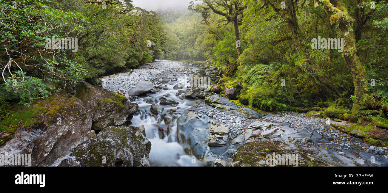 Cleddau River, The Chasm Gorge, Fiordland National Park, Southland, South Island, New Zealand Stock Photo