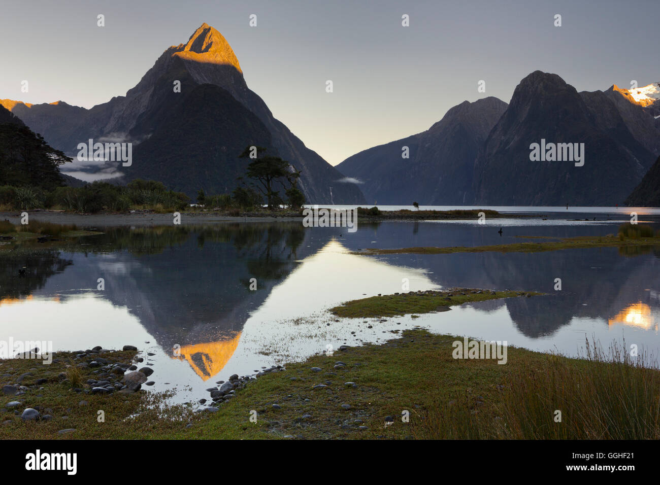Milford Sound with reflection, Fiordland National Park, Southland, South Island, New Zealand Stock Photo