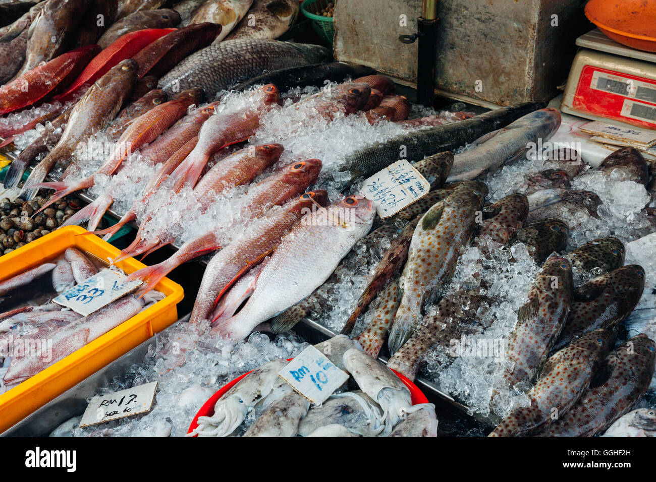 Fresh fish on the ice at the fish market of Penang. George Town, Malaysia. Stock Photo