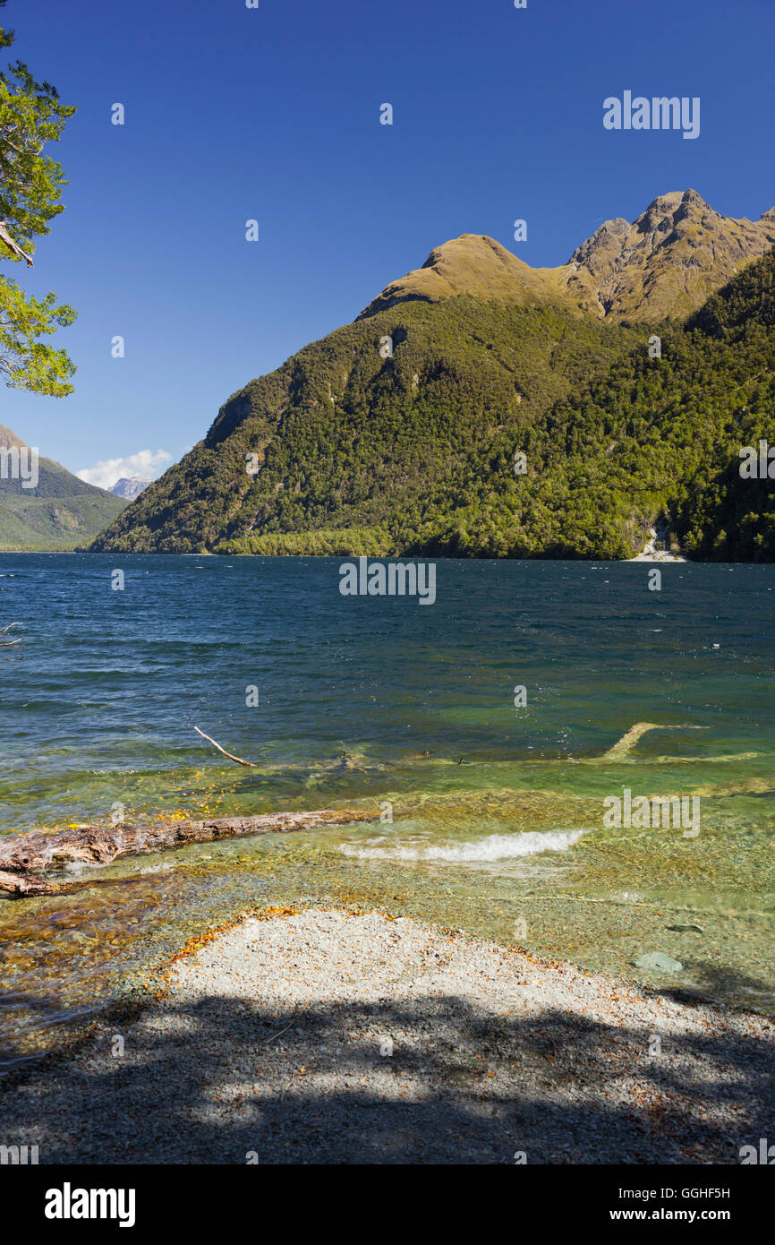 Lake Gunn, Fiordland National Park, Southland, South Island, New Zealand Stock Photo