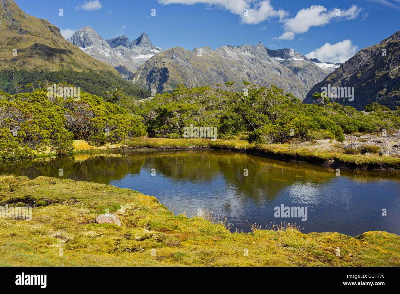 Key Summit, Fiordland National Park, Southland, South Island, New Zealand Stock Photo