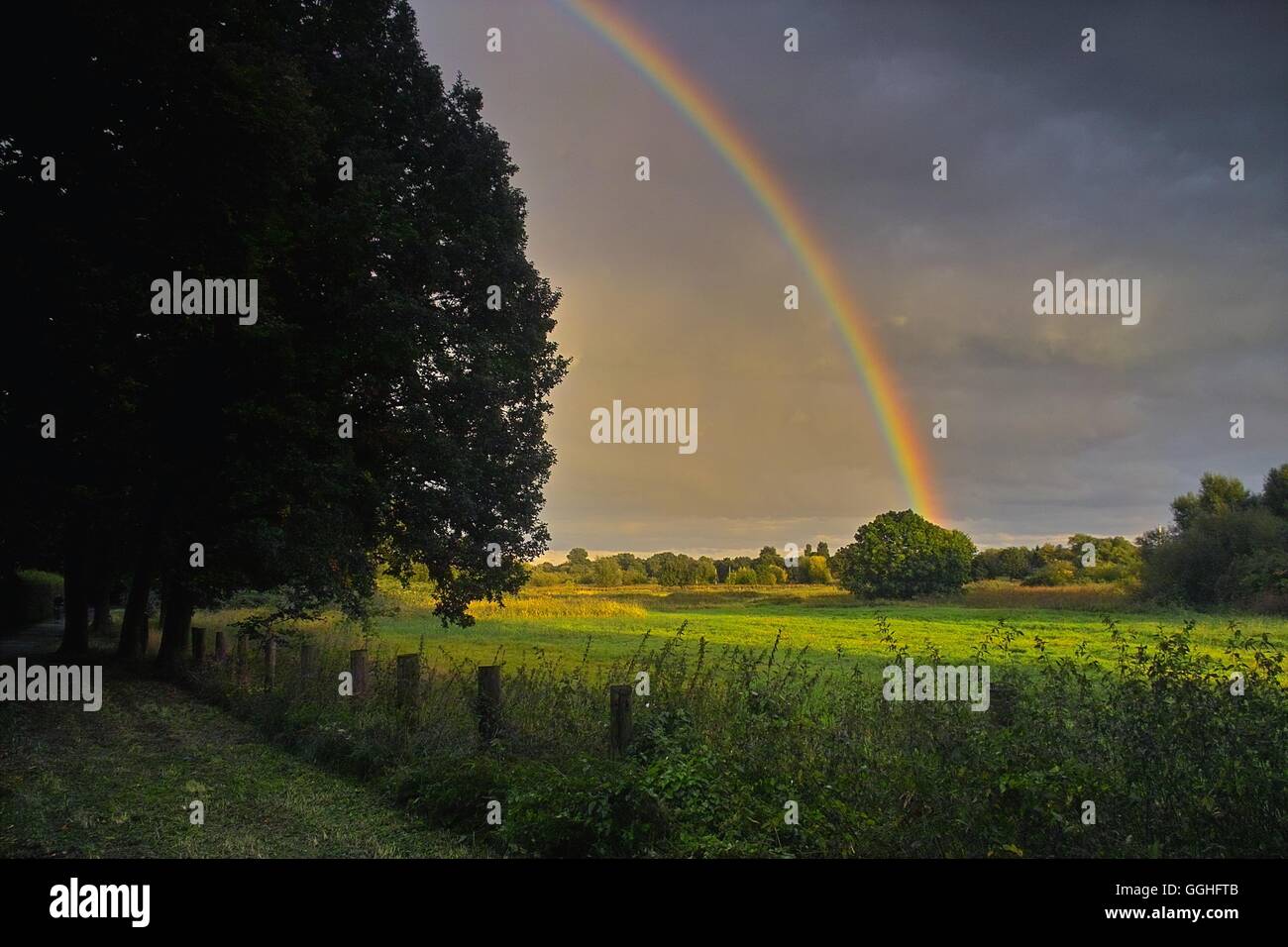 Rainbow over landscape, pasture / Regenbogen über Landschaft in Bremen-St Magnus Stock Photo