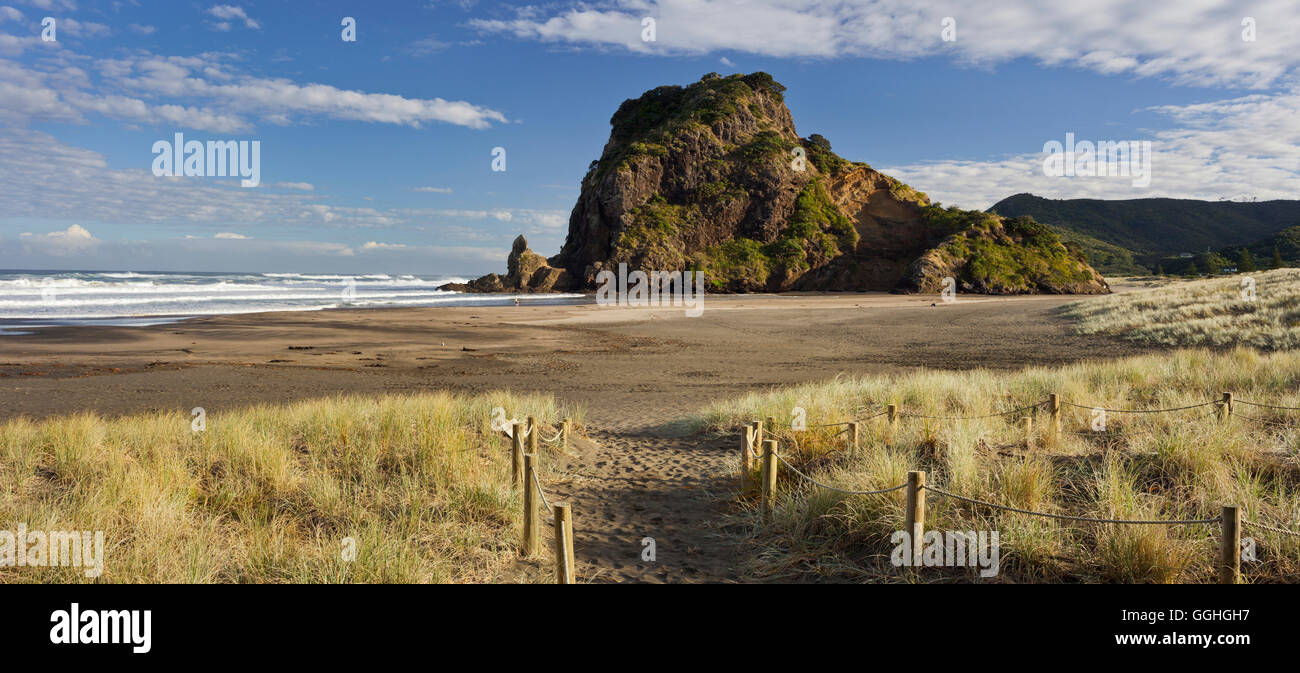 Lion Rock, Piha, Auckland, North Island, New Zealand Stock Photo