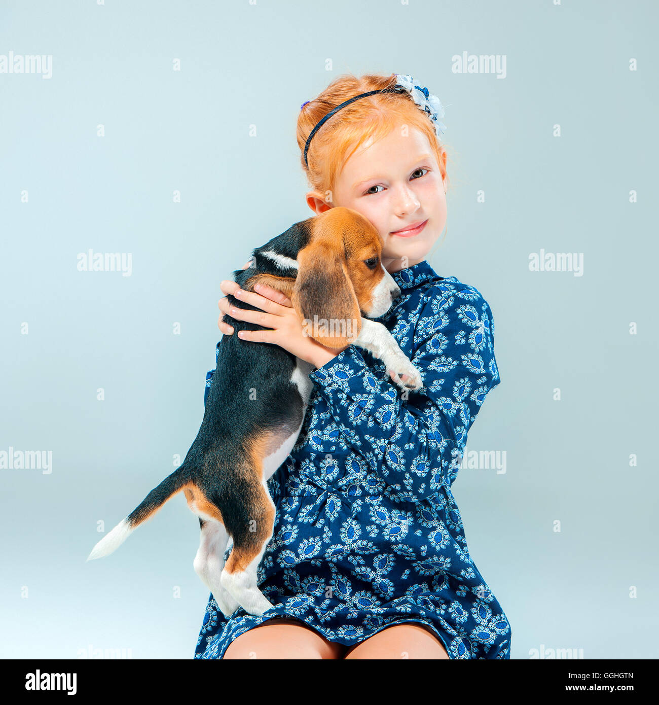 The happy girl and a beagle puppie on gray background Stock Photo