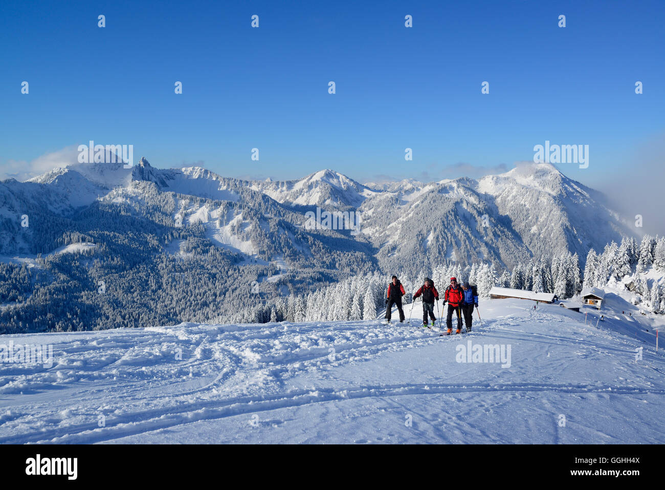 Back-country skiers ascending to mount Rosskopf, Bavarian Prealps, Upper Bavaria, Germany Stock Photo