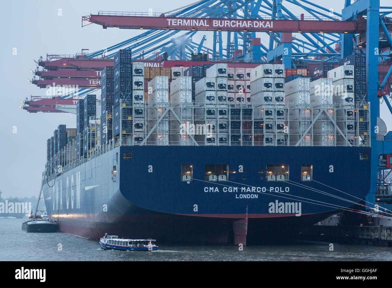 Loading and unloading of the container ship CMA CGM Marco Polo in the ...