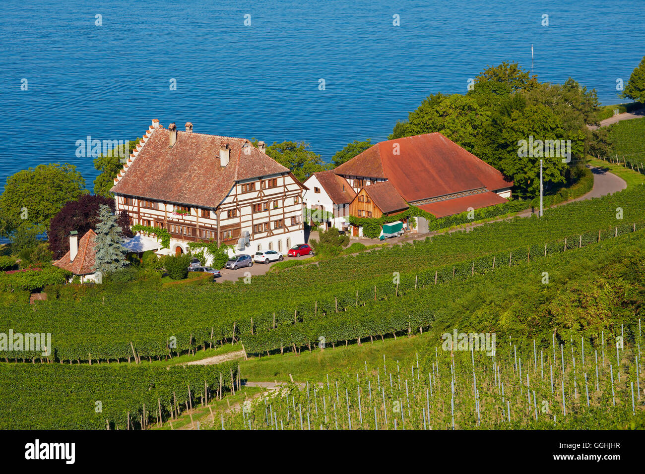 Hotel Restaurant in the vineyards near Meersburg at Bodensee, Baden-Wuerttemberg, Germany, Europe Stock Photo