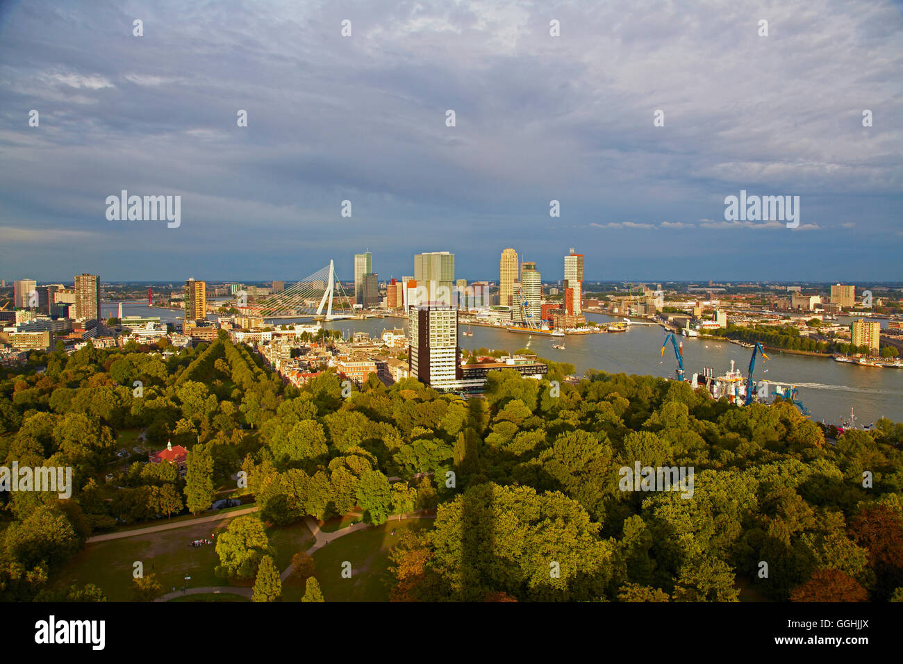 View of Rotterdam Harbour, Hotel New York, Skyline, Erasmus bridge, Province of Southern Netherlands, South Holland, Netherlands Stock Photo