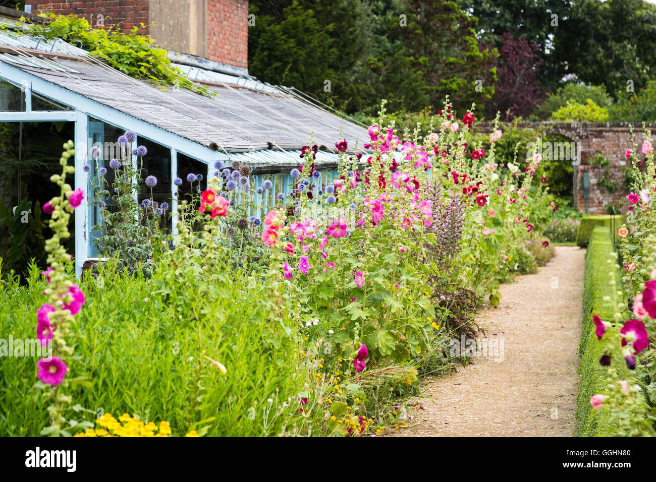 Summer garden border hi-res stock photography and images - Alamy