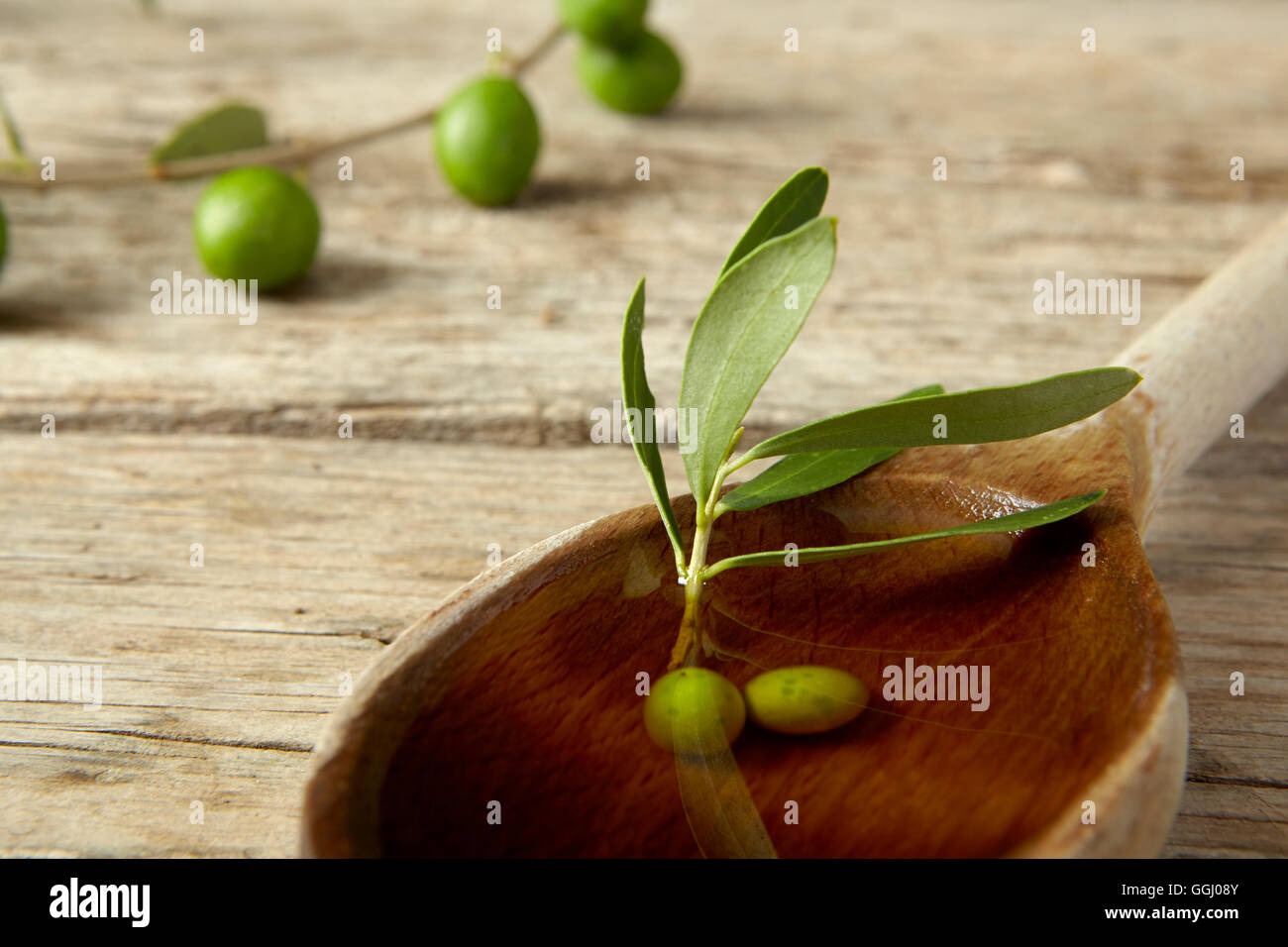 Green olive branch and a spoon full of oil on the wooden table Stock ...