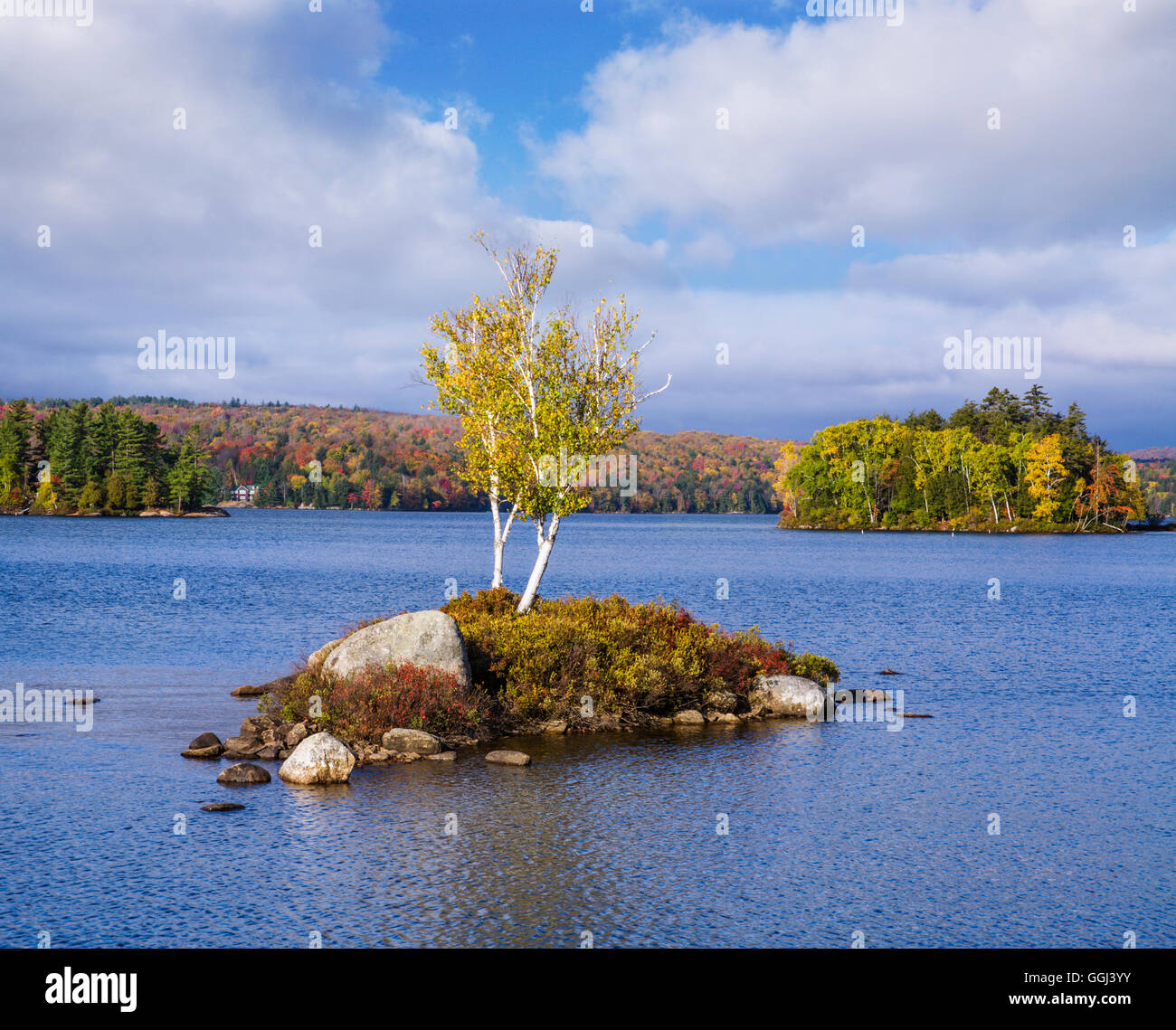 A Tiny Island In Tupper Lake During Autumn In The Adirondack Mountains