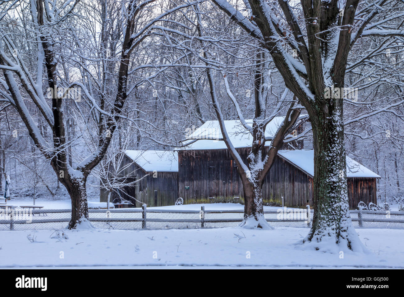 Snow covered trees and an old barn during winter, Southwestern Ohio, USA Stock Photo