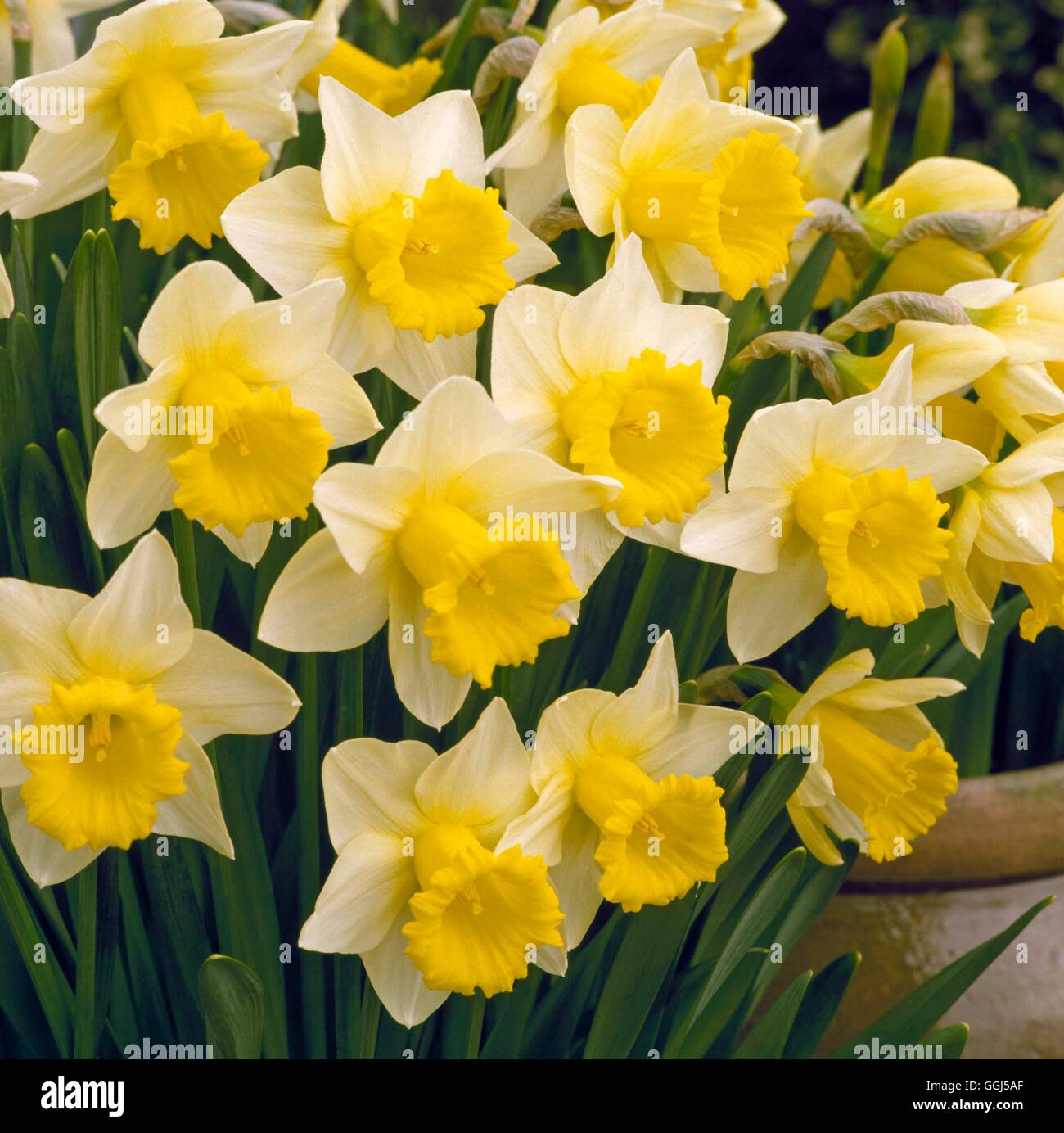 The foresight hi-res stock photography and images - Alamy