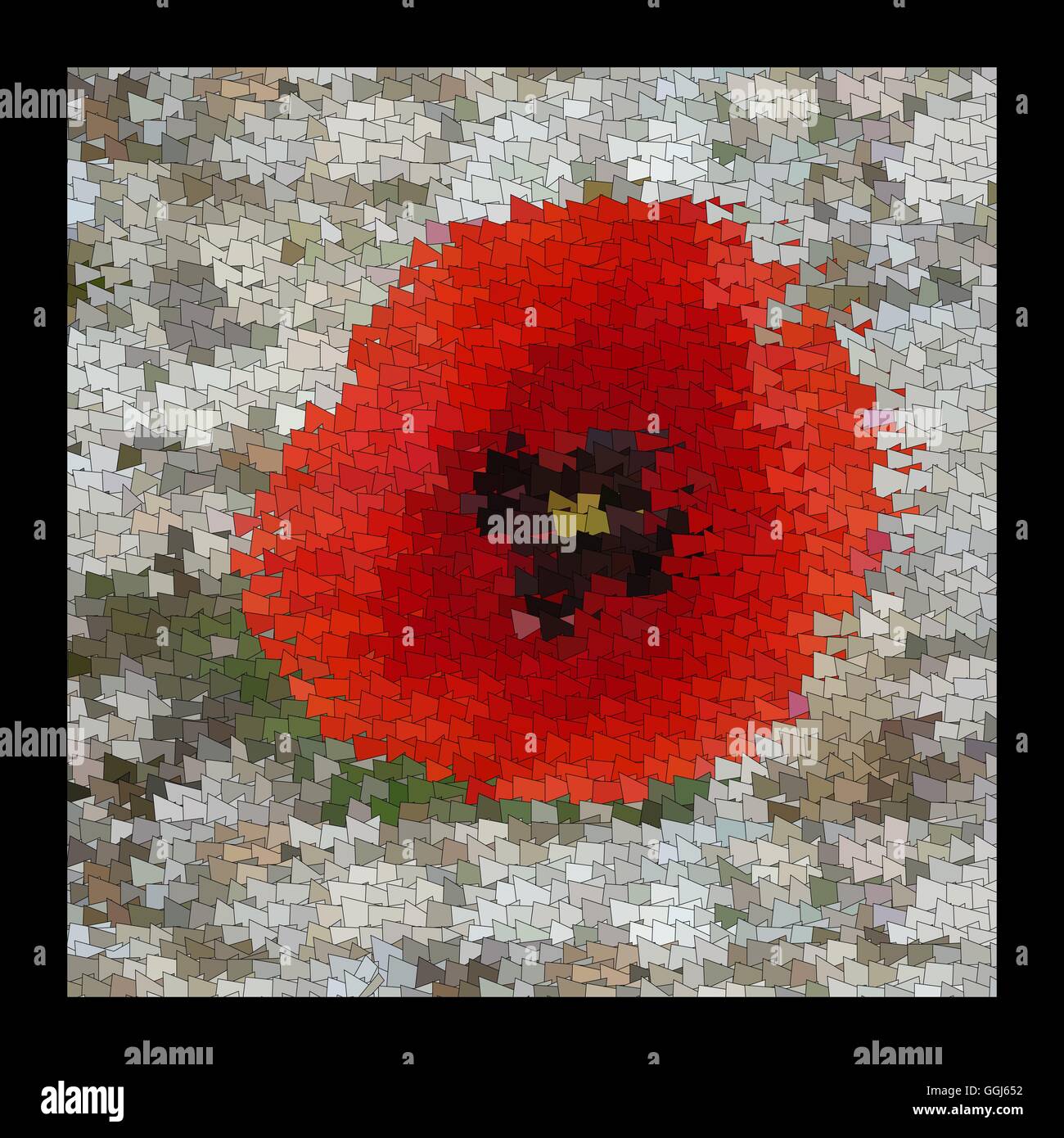 The flowers of red poppy closeup on grey background Stock Vector Image ...
