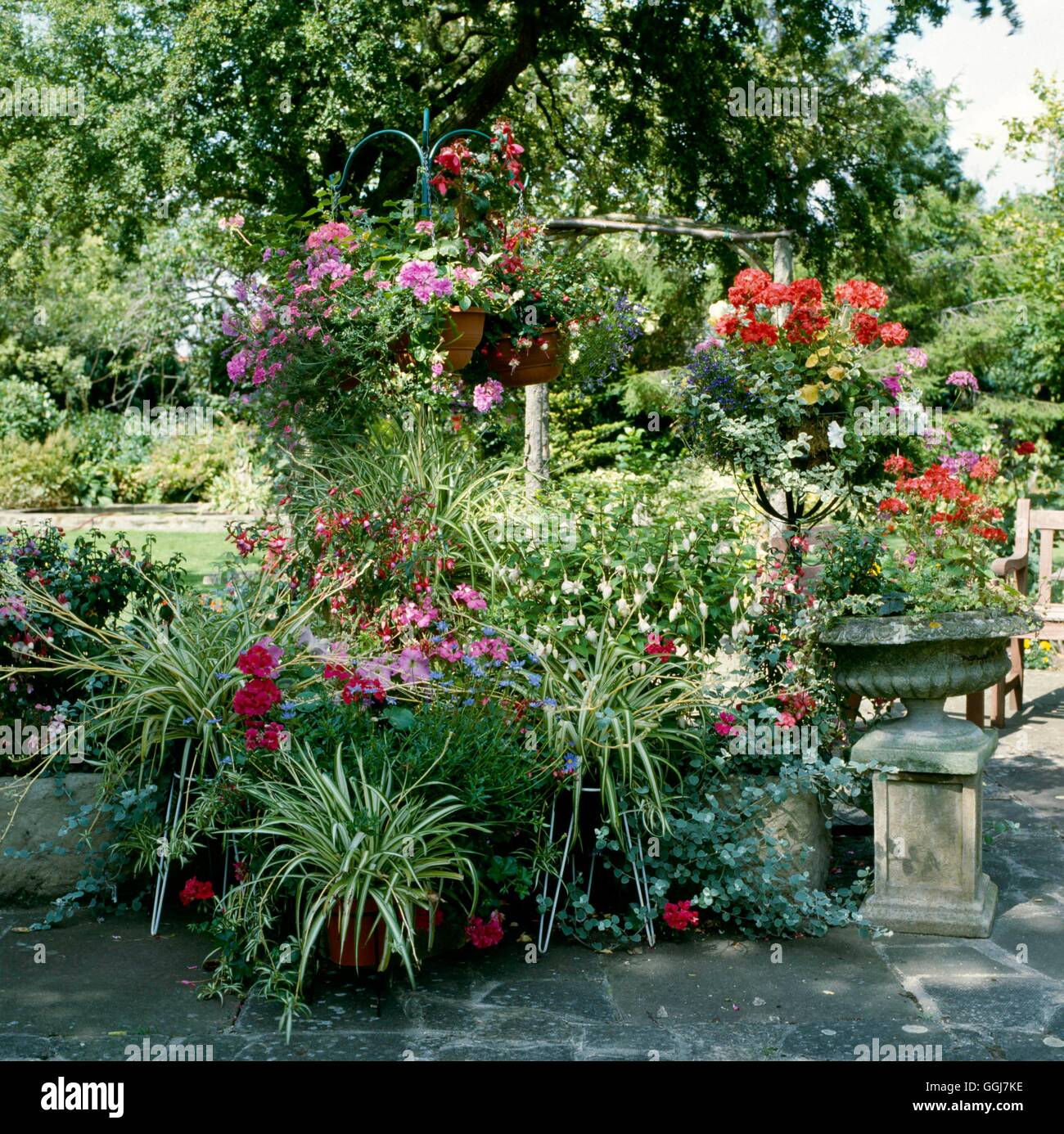 Containers - Annual - Pots and baskets on frames planted with annuals   CTR045269     Photos Horticu Stock Photo