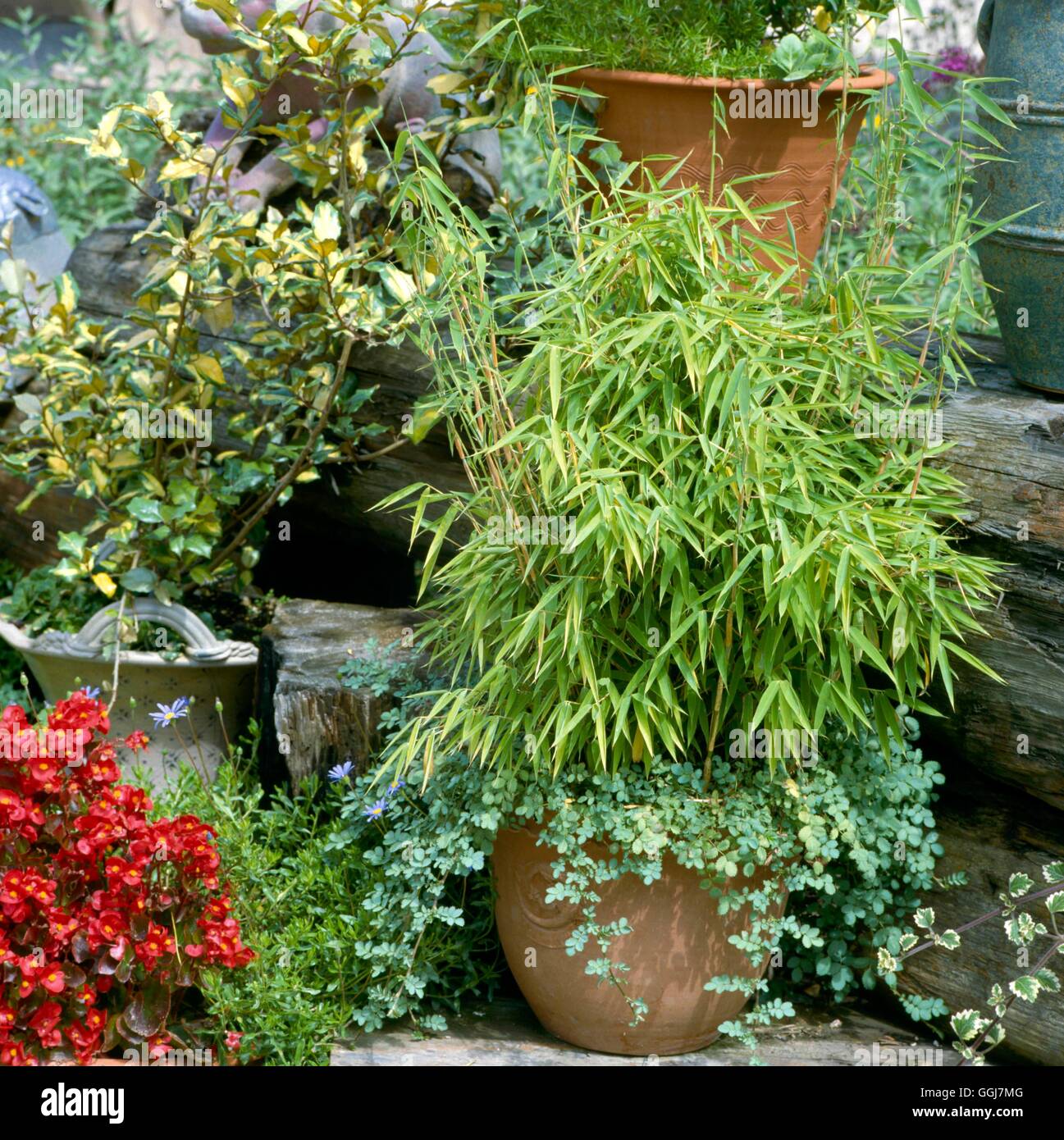 Bamboo Container High Resolution Stock Photography and Images Alamy