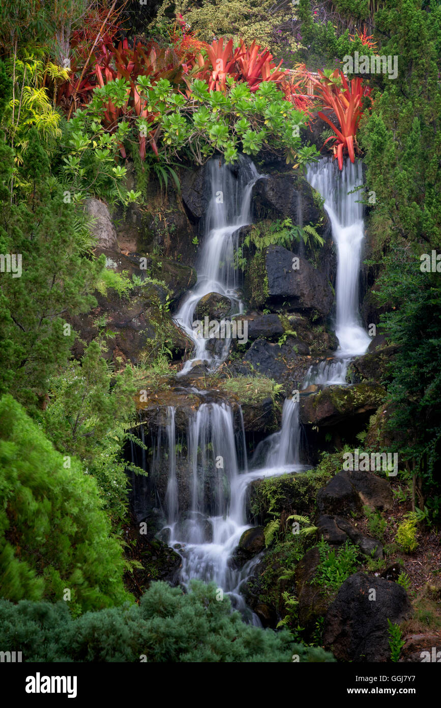 Hawaii Flower Waterfall High Resolution Stock Photography ...
