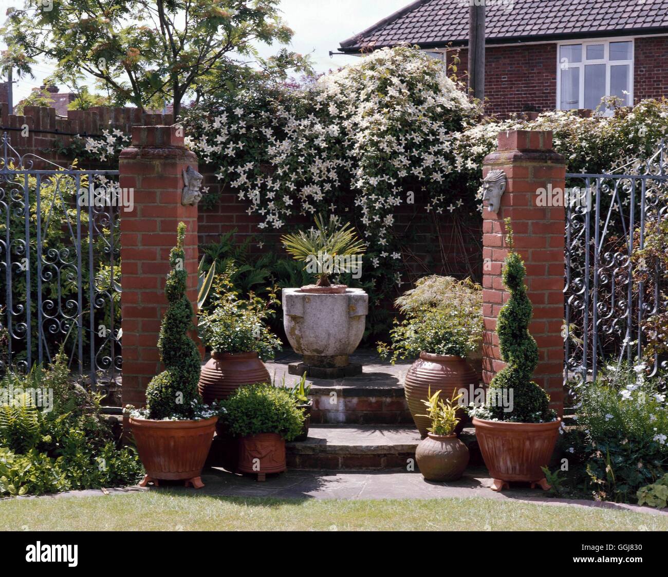 Courtyard - with Clematis montana var. wilsonii growing on the back wall.   CTY069995     Photos Hor Stock Photo