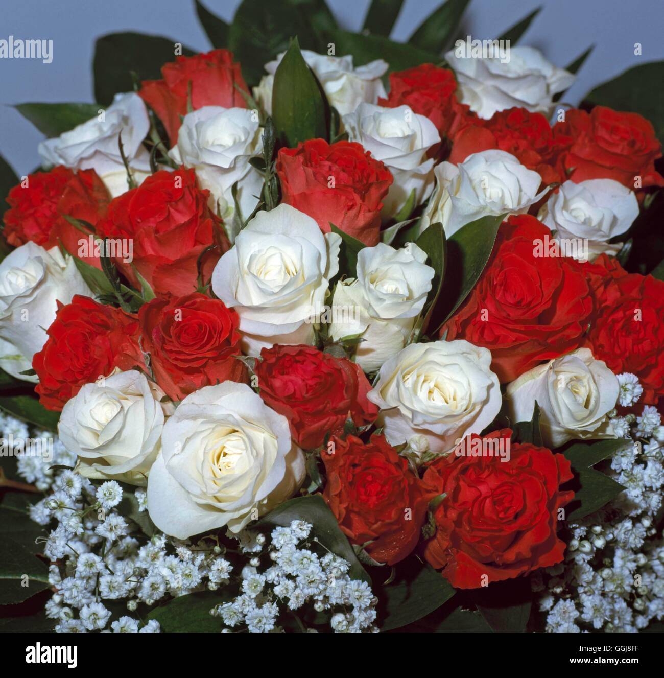 Flower Arrangment/Cut Flowers - Red & White Roses ('Love & Friendship') at IPM Essen 2003.   FAR107236  Compulsory Cre Stock Photo