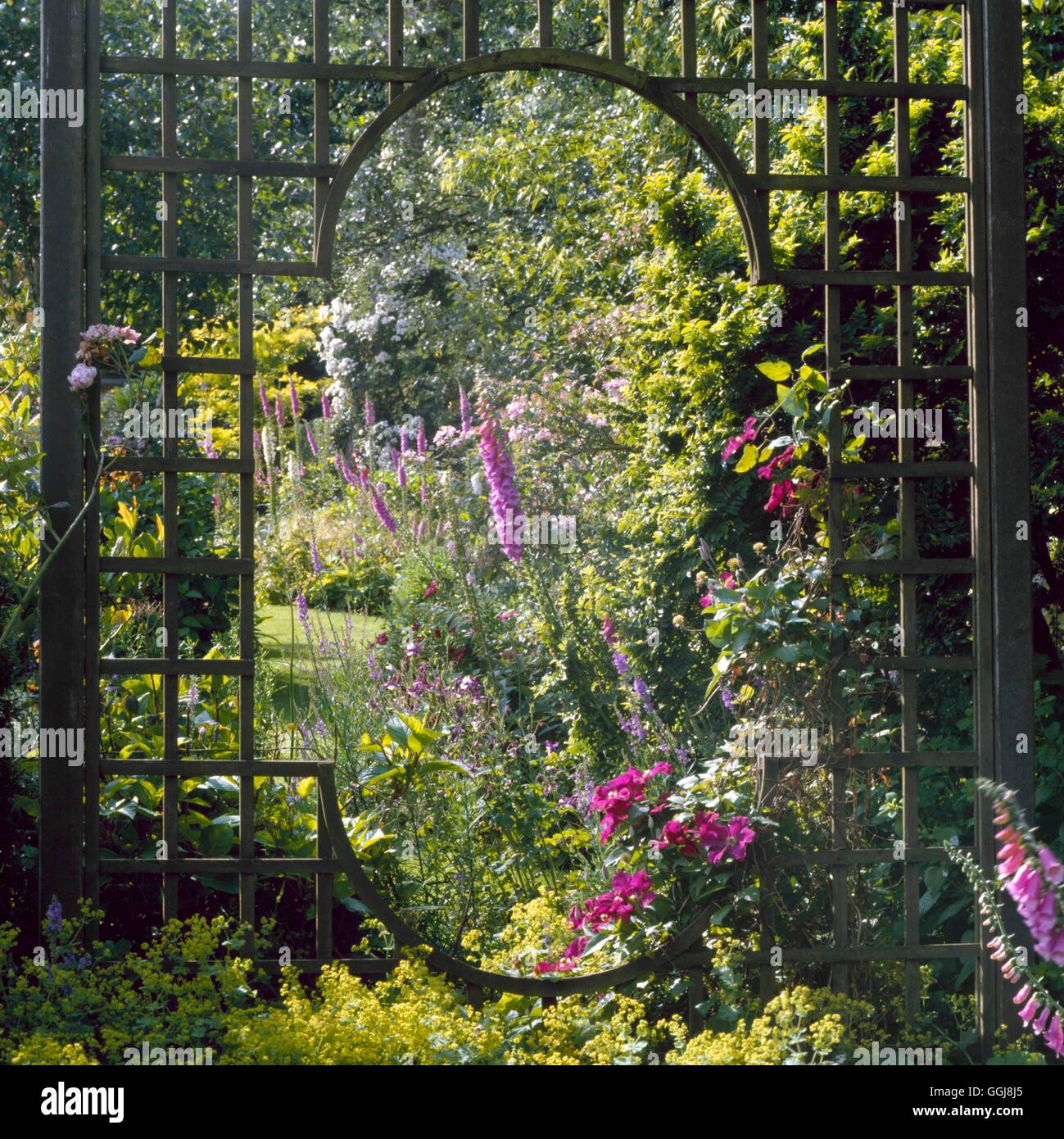 Fence - of ornamental trellis framing the view (Please credit: Photos Horticultural/ Le Jardin de Valerianes  France)   Ref: PHS Stock Photo
