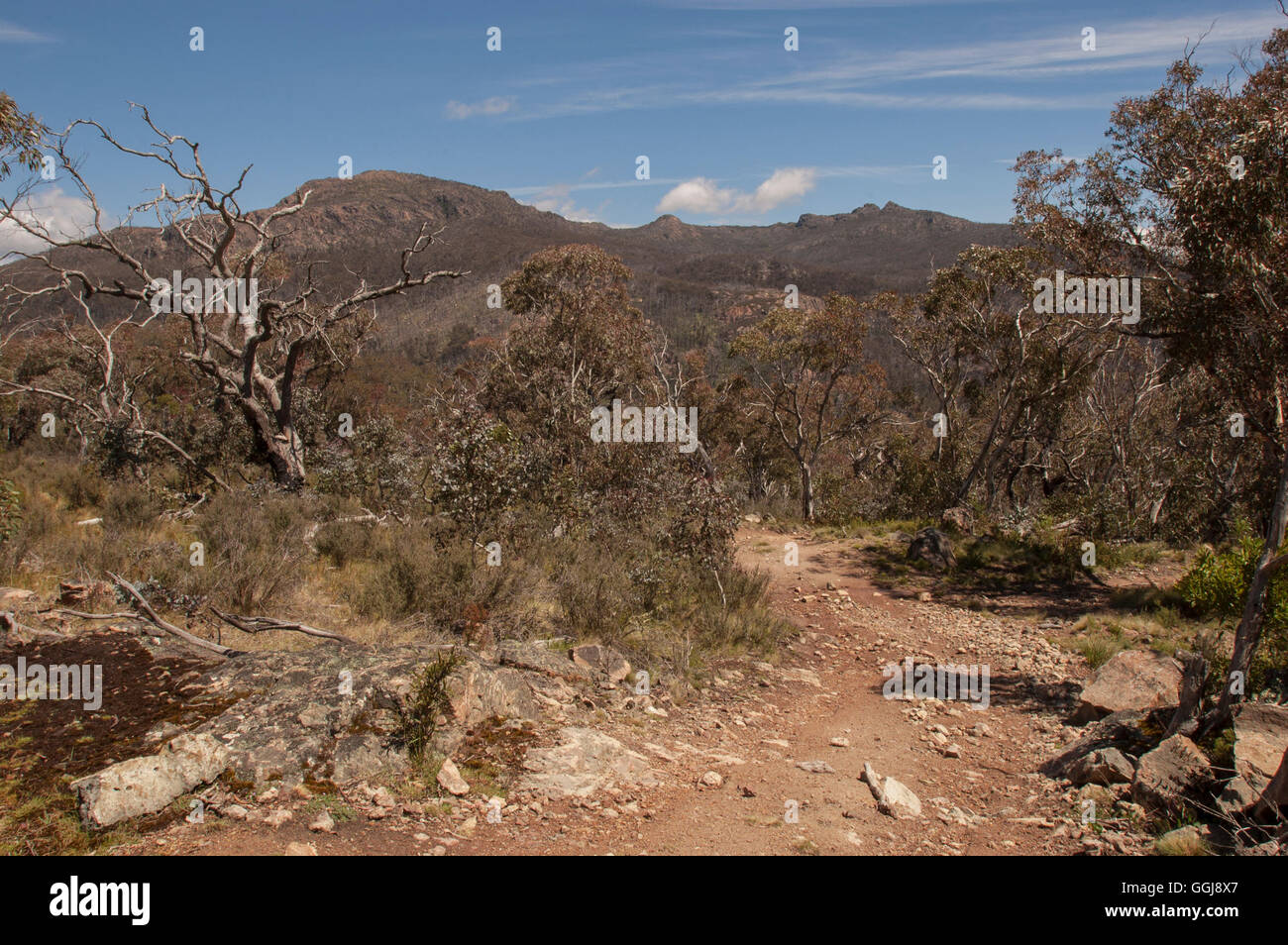 Landscape in the Victorian High Country Stock Photo Alamy
